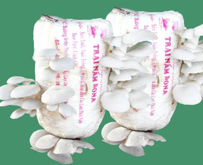 Click xem ảnh lớn