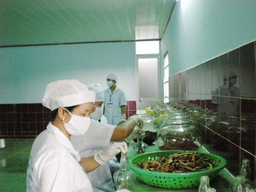 Click xem ảnh lớn